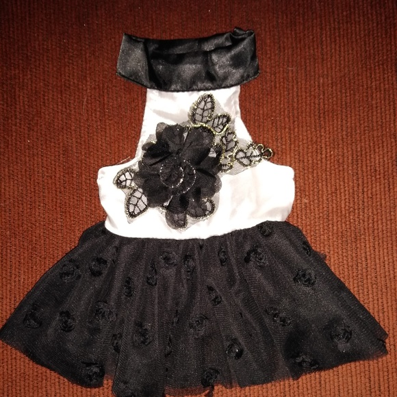 Dress - Picture 6 of 7